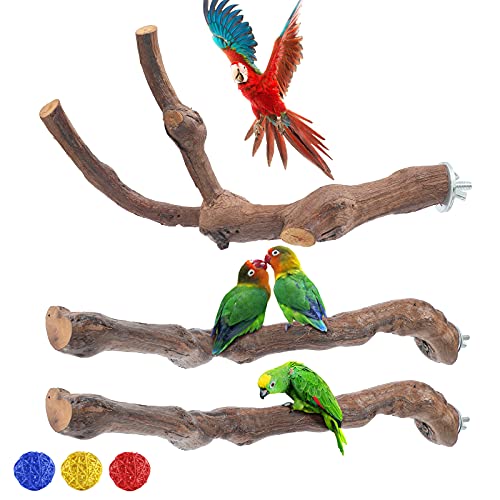 COUNER Bird Pattot Perch Stand Set, 3 PCS Natural Wild Grape Stick Parrots Stand Climb Toys, Grinding Paw Cage Perch, Bird Cage Accessories for Parrots, Parakeets, Cockatiels, Conures, Finches