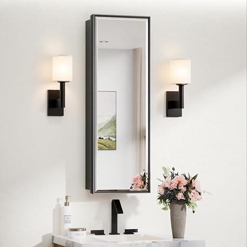 TokeShimi Botiquín empotrado de 12 x 36 pulgadas con montaje en superficie de espejo, botiquín de metal negro con marco de aluminio, espejo biselado