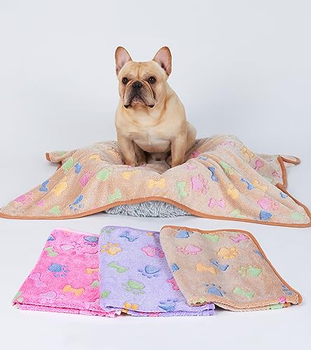 Image of luciphia 1 Pack 3 Blankets Super Soft Fluffy Fleece Pet Blanket Flannel Throw for Dog Puppy Cat Bone Small