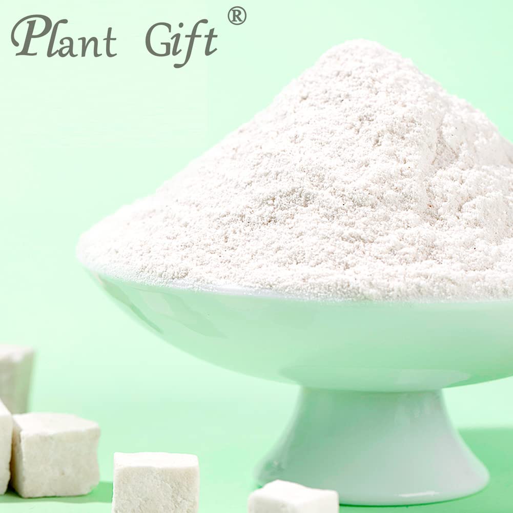 Plant Gift 100% Pure Poria Cocos Powder 茯苓粉 Farina naturale di cacao di poria, ottimo sapore per bevande, aggiunge sapore e sapore in polvere non OGM, senza riempitore, senza additivi 100G/3.25oz