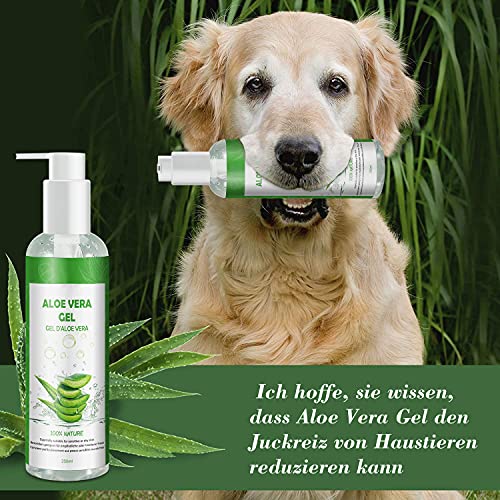 Aloe Vera Gel 100% Pur - für Gesicht Haare Körper - Natürliche, Beruhigende und Pflegende Feuchtigkeitscreme After Sun - Ideal Naturkosmetik für Trockene, Strapazierte Haut & Sonnenbrand - 250ml
