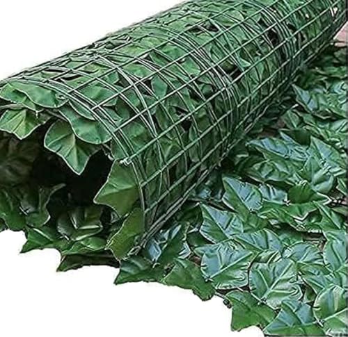 Protector de pared de hiedra galesa contra miradas en patios 5
