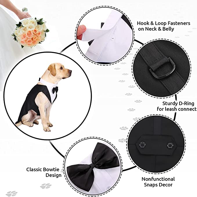 Opiniones y reviews de Disfraces para perros de esta semana. 11 Imagen adicional