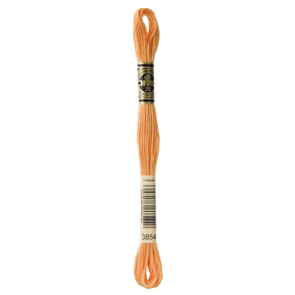 DMC Embroidery Floss Mouline Stranded Cotton Thread for Hand Embroidery and Sewing - Colour No: 3854-3 x 8m Skeins