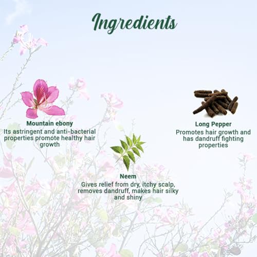 Biotique Store Biotique Mountain Ebony Vitalizing Serum 75ml - Image 6