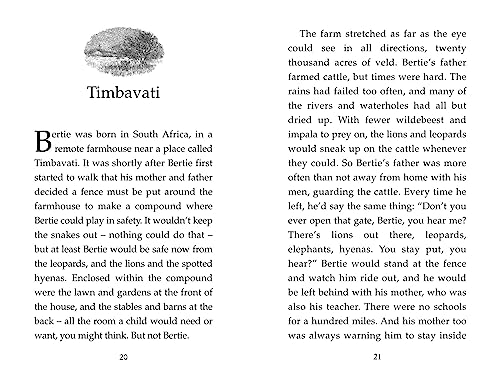 The Butterfly Lion: The classic illustrated children's story of unforgettable friendship - Image 3