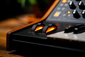 moog モーグ subsequent25 + オリジナルバッグ Moog Subsequent 25 パラフォニックアナログシンセサイザー 25