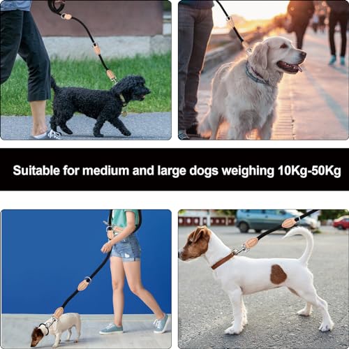2m Hundeleine mit 2 Karabiner, Nylon Doppelleine, Robuste Trainingsleine Schleppleine, Tragbar Hunde Doppelleine Verstellbar, Übungsleine Dauerhafte für kleine, mittelgroße und große Hunde (rot)