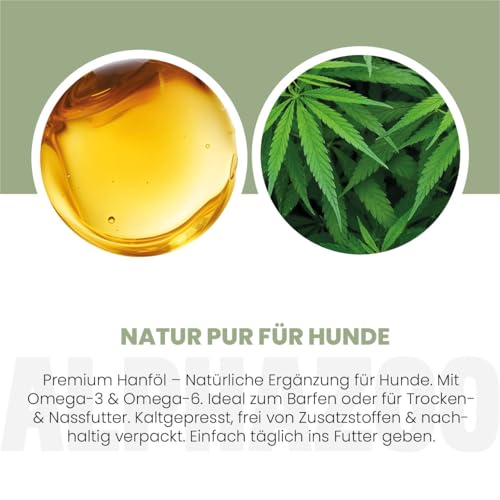 alphazoo Hanföl für Hunde 100 ml – Premium Hanfsamenöl kaltgepresst – Unterstützt Immunsystem & Abwehrkräfte – Reich an Omega 3-6-9 für Haut, Fell, Gelenke & Vitalität