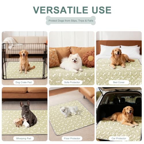 Image of Eterish Washable Pee Pads for Dogs Extra Large 36'' x 48'' 2 Pack | Reusable Absorbent Pet Puppy Dog Training Pads Non-Slip, Waterproof Whelping Potty Pads for Dogs Leak-Proof