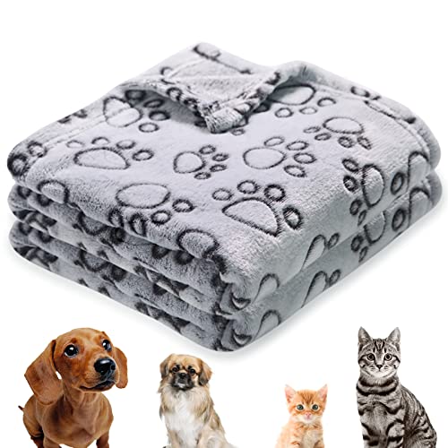 Stuffed Premium Soft Dog Blanket, with Flannel Grey Cute Paw Prin