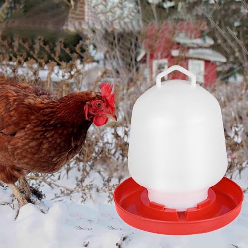 Geflügel-Wasserbrunnen Geflügel-Wasser-Futterspender Hühner-Wassereimer Automatischer Hühner-Futterspender Kunststoff Auto Geflügel und Wild Vogelbrunnen Tränke für Hühner (Weiß, Einheitsgröße)