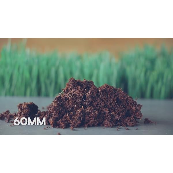 Minute Soil - Compressed Coco Coir Fiber Grow Medium - 20 MM Pellets - Bag of 100 = 5 Quarts of Potting Soil - Indoor Growing: House Plants, Herbs, Microgreens, Just Add Water - Peat Free - OMRI - Image 8