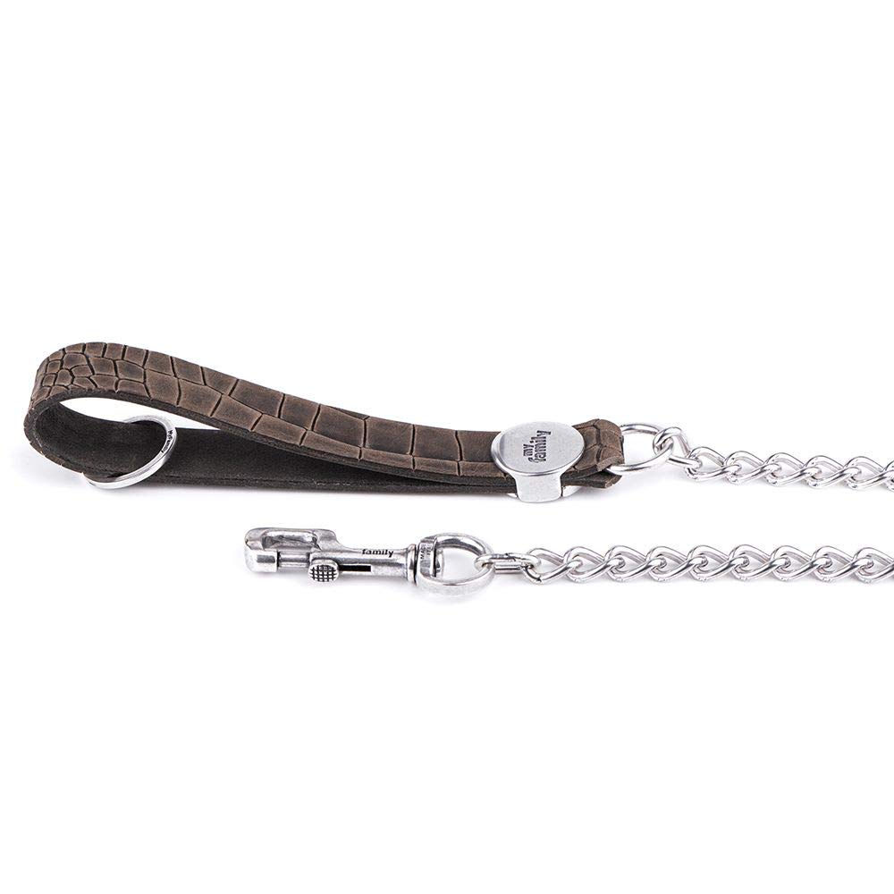MyFamily Guinzaglio per Cane in Vera Pelle Italiana e Catena Made in Italy, Finiture Metalliche in Argento Antico, Pratico e Resistente, Fatto a Mano, Collezione Tucson