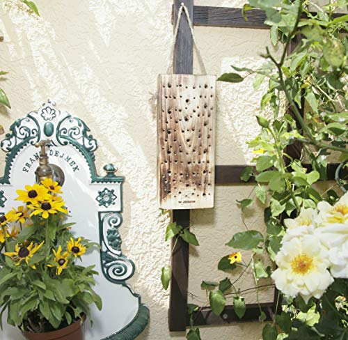 Windhager Wildbienennistholz, Nisthilfe Brutplatz Nistplatz, aus Massivholz, inklusive Schnur zum Aufhängen, braun, 8 x… – Bild 4