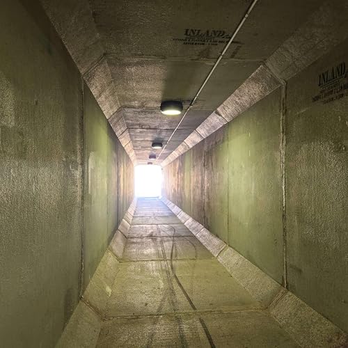 Image of 当生命停留在停尸房 (2025-04-11 204013) [Freeze]