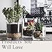 WHOLE HOUSEWARES | 4