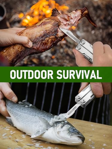 BIBURY Mini multitool tang met onzichtbare pincet, 10-in-1 EDC multitool met glasbreker, rugclip, gordelsnijder voor buiten, kamperen, vissen, outdoor mini-gereedschap, ideaal cadeau voor vrouwen en - Afbeelding 6