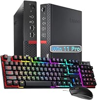 Un mini de oficina usado: Lenovo ThinkCentre Tiny o Dell OptiPlex Micro