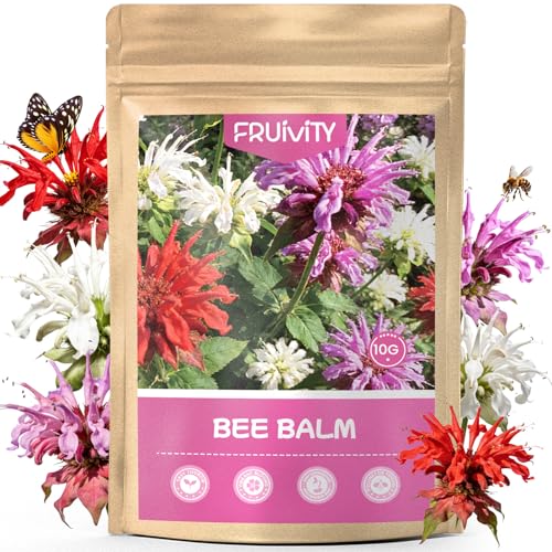 Fruivity 4000+ Bee Balm Seeds for Planting Color Mix Native Wildflower Seeds Heirloom & Open Pollinated Perennial Flower Seeds to Plant Outside Flower Herb Garden
