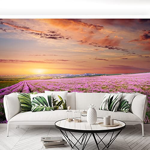 Papier Peint Champ de lavande 250x104cm pour salon moderne