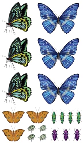 Fluttery, Friendly Tattoo Butterflies and Other Insects: 81 Temporary Tattoos That Teach