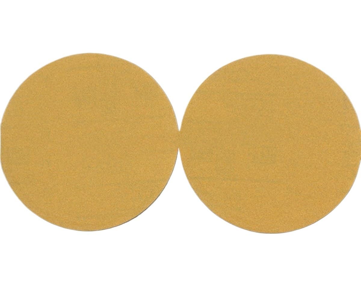 100 szt. 5-calowe samoprzylepne krążki papierowe do szlifowania na sucho - flokowane arkusze papieru ściernego - dostępne 6 ziaren(120grit)