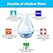 6 Stage- Inline Alkaline | KDF | Antioxidant Mineral pH Balancing Drinking Water Filter | (2