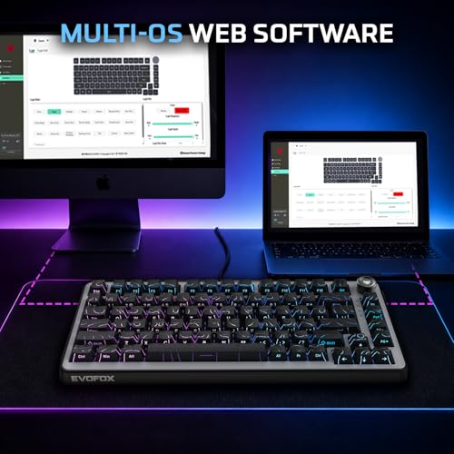 Image of EvoFox Ronin X75 Plus Tri-Mode Gaming Wireless Mechanical Keyboard, Gasket Mount, 5 Layer Sound Dampening, South Facing LED, Pass-Through Keycaps, 8000 mAh Battery, Hot Swap, Multi OS Web Software
