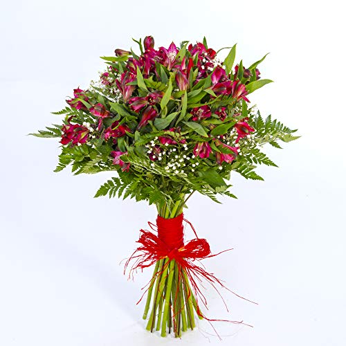 REGALAUNAFLOR-Ramo de flores alstroemerias rojas-FLORES NATURALES-ENTREGA EN 24 HORAS DE LUNES A SABADO.-FLORES FRESCAS Cover