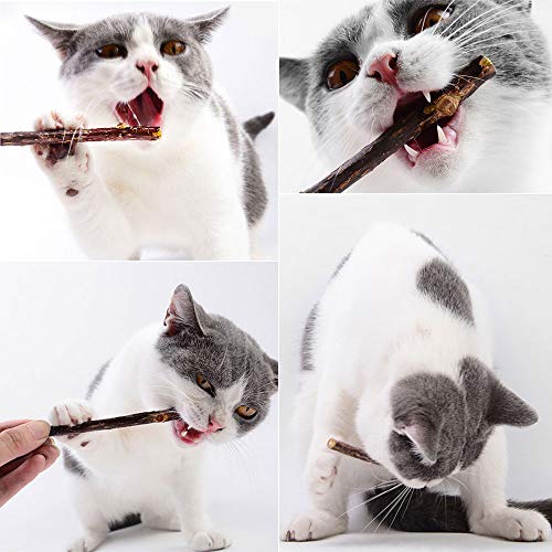 Onebarleycorn Katzenminze Sticks für Katzen, Matatabi Stick Katze Sticks Spielzeug Matabi katzensticks Katzenspielzeug für Zahnpflege,20 Stück