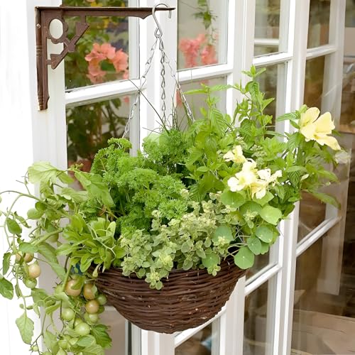 6 Stück Blumenampel Ketten, 50 cm Metallkette Zum Aufhängen, Hängekette für Pflanzen, für Hängepflanztopf, Hängepflanze, Blumentöpfe, Vögel, Laternen, Billboard, Innen, Außen