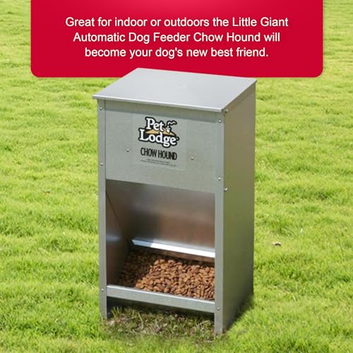 Little Giant CH25 Pet Lodge® Chow Hound Pet Feeder | Galvanized Gravity Feeder For Dogs thumb #3