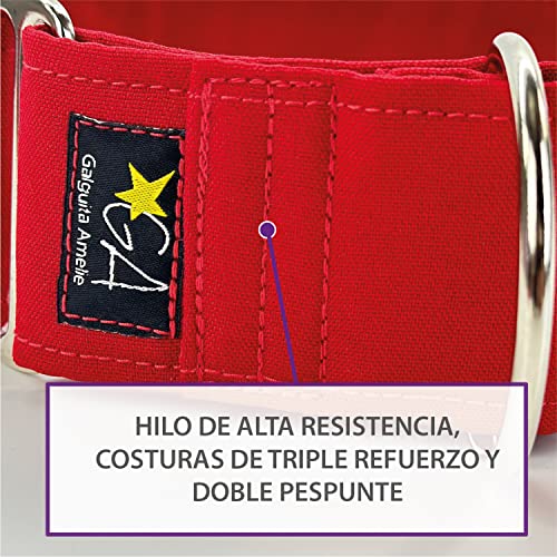 Galguita Amelie Martingale Hundehalsband, Nickcolors, 5 cm breit, Größe L (40-49 cm Umfang)