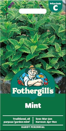 Fothergill's Herbs - Mint Seeds for Planting UK