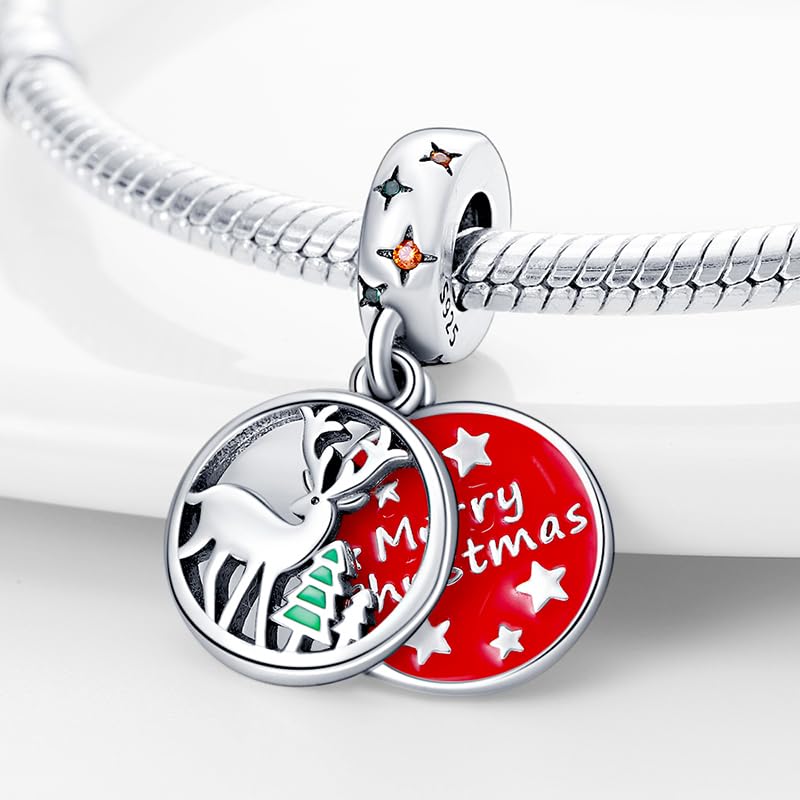 TINSLO Ciondolo Argento Sterling 925 con Cubic Zirconia Pendenti per Pandora Braccialetti, Compatibile con Braccialetti e Collane europei, perfetto Regali per Moglie e Ragazze B3