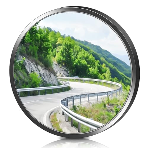 Espejo panorámico de 30 cm, espejo de observación con ángulo de visión de 220°, espejo de tráfico para salidas, espejo gran angular, espejo convexo, uso en exteriores e interiores, negro
