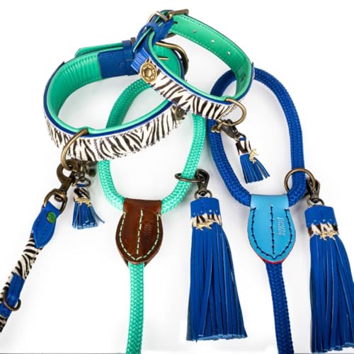 DWAM Dog with a Mission - Hundehalsband - Verstellbar - Weichem Leder – Tierdruck - Zebra – M – Leder – Halsumfang zwischen 32–39 x 2,5 cm – Dandy
