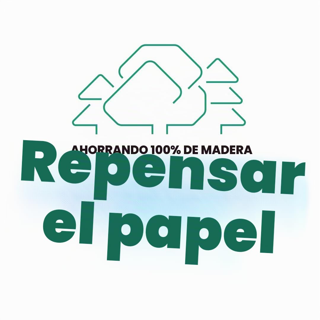 STEINBEIS N1, Papel 100% reciclado, A4, 80 g/m2, caja 5 paquetes (2500 hojas)