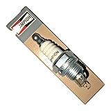 PALEPLUM BPMR6A, W20MPR Compatible with CH RCJ8Y, Replaces RCJ14, Autolite 2985, Rotary Corp 7190