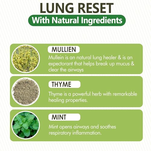 Image of Herbal Diffuser | Natural Mullein & Thyme Botanical Extract | Plant-Based Wellness | 600 Series - 3 - Pack