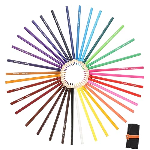 Lurrose Lápices De Colores para artistas con diseño portátil y mina resistente
