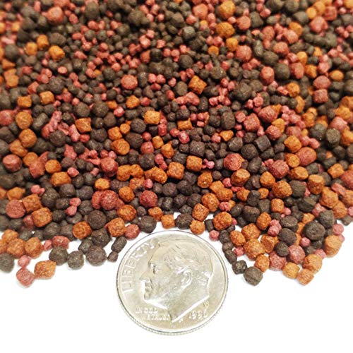Aquatic Foods Inc. Gourmet Blend - 12-Type Cichlid Blend of Floating & Sinking Blackworm & Intense Coloring. GB-1000-1/8-lb
