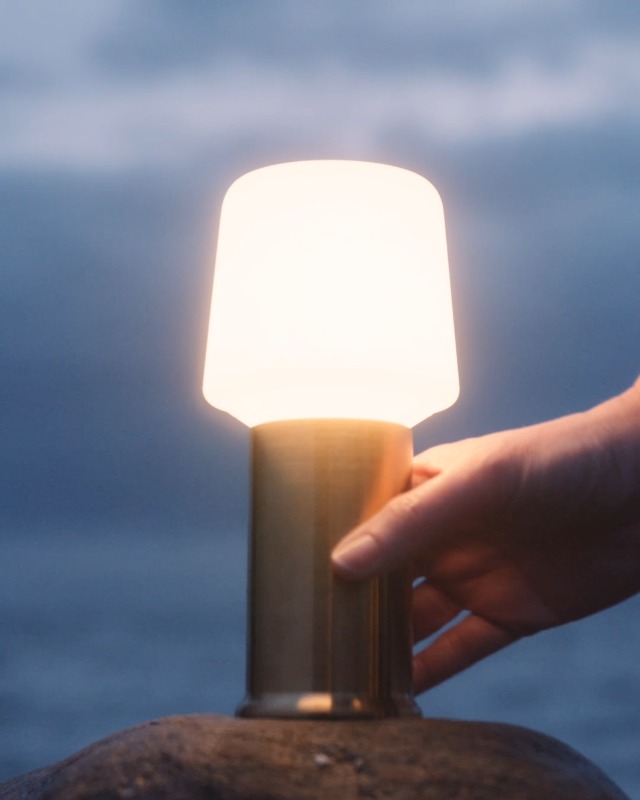 Image of Black Mushroom Lamp,Cute Cordless Rechargeable Table Lamp | 3 Color Tamps,LED Dimmable Ambient Lighting,Small Retro Touch Bedside Light for Bedroom Decor