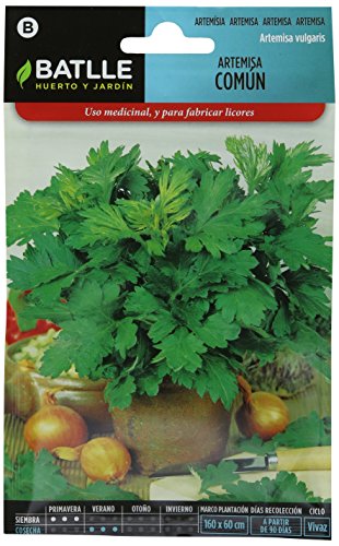 Semillas Aromáticas - Artemisa común - Batlle