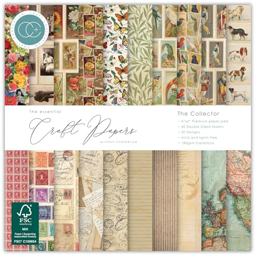 Papier scrapbooking Craft Consortium bloc de feuilles double face 180g carterie travaux manuels