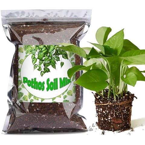 Doter Organic Pothos Soil Mix 10qt, Indoor Plants Potting Mix for All Potted Pothos, Grow Healthy houseplants Indoors Cover