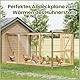 Laneetal Abdeckplane Plane Transparent Wasserdicht Gewebeplane mit Ösen, Mehrzweckplane Schutzplane Zeltplane für Gartenmöbel Holz Trampolin (Transparente, 2x2 m)