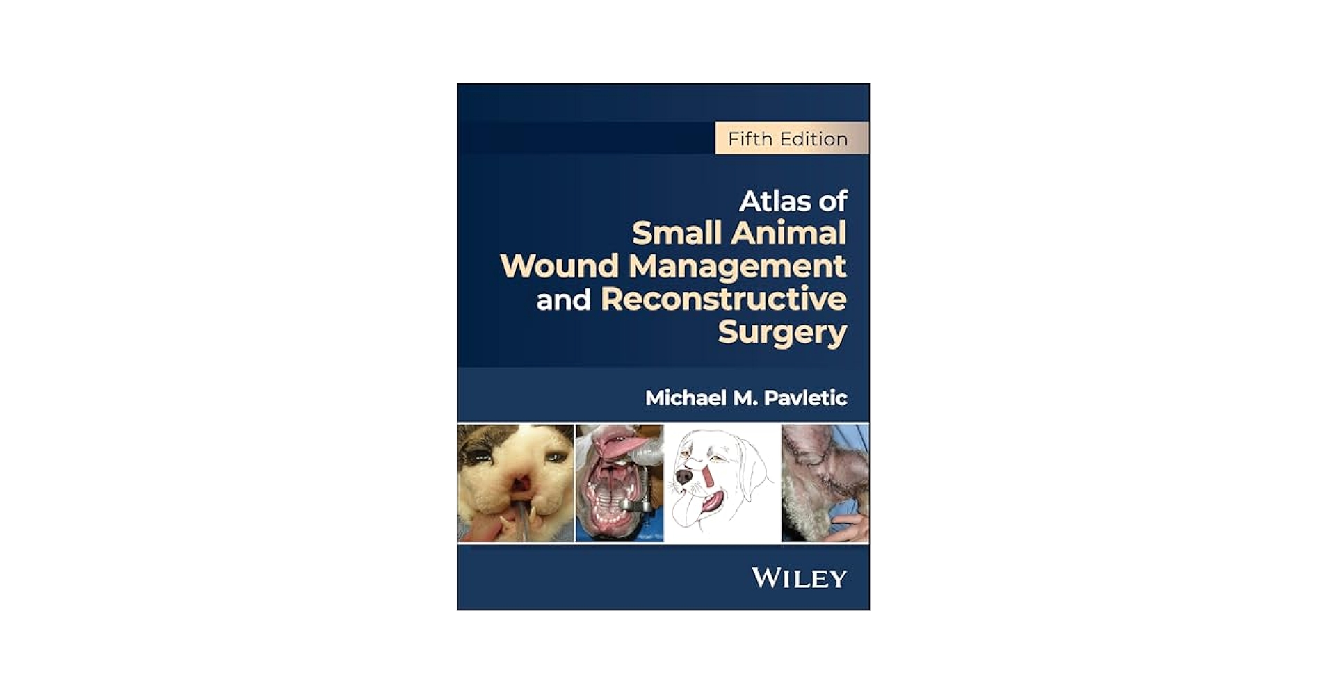 健康+医学 Small Animal Reconstructive Surgery Manual of Small Animal Soft Tissue Surgery, 2nd Edition | Wiley