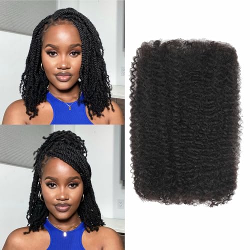 Afro Kinkys Bulk Human Hair 8-28 inch Afro Kinky Bulk 100% Human Hair for Dreadlock Extensions Repair Loc Making Twists (1 B 10inch)